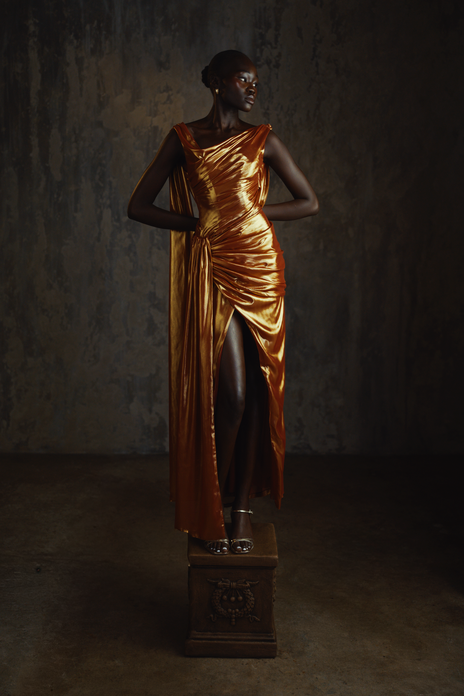 Lamé Chiffon Maxi Gown